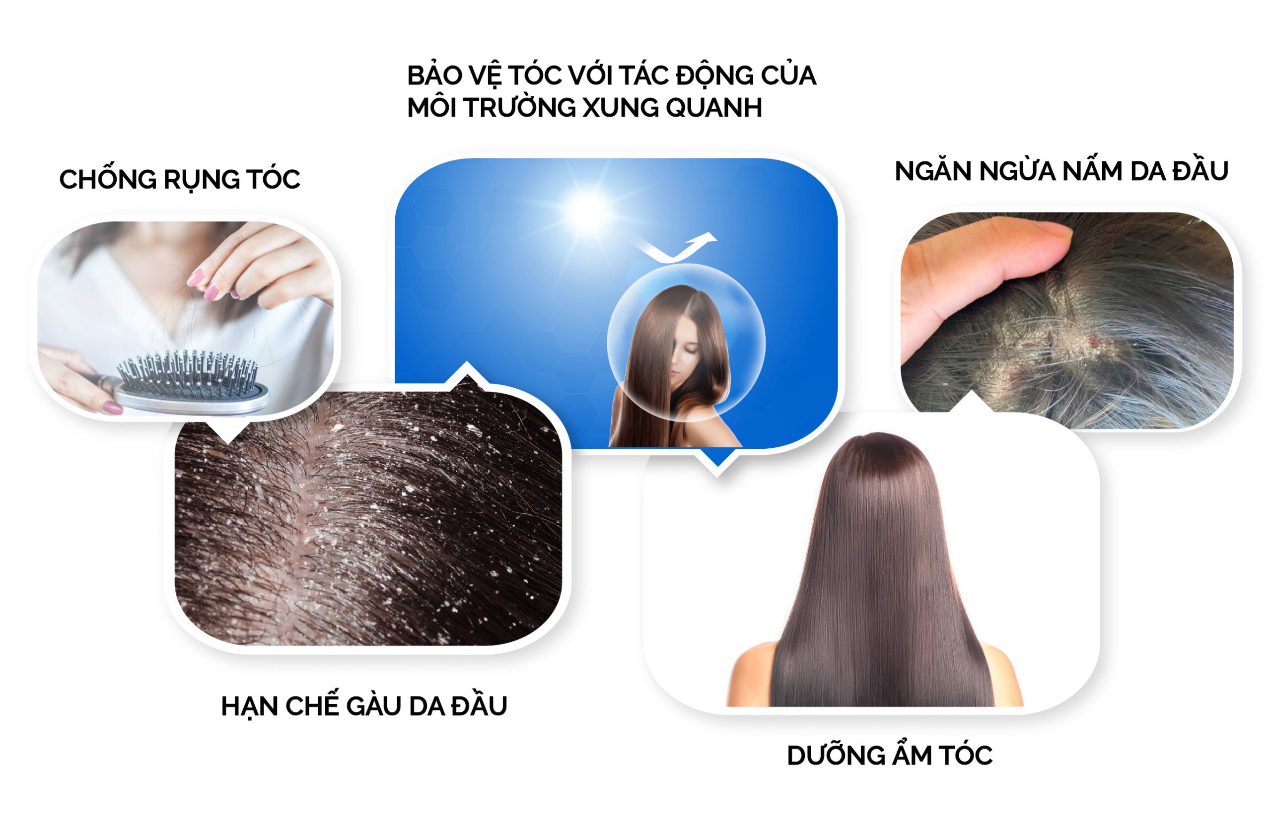 Ứng dụng Dầu Dưỡng Tóc Cao Cấp - Hairoil - Hair Care Essential Oil